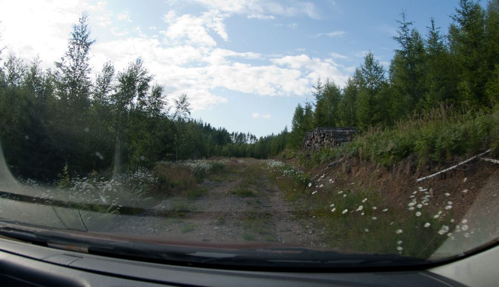 Note to self; kun keskipientareella alkaa kasvaa ruohoa, tie ei todennäköisesti johda valtaväylälle